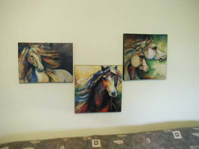 Equine Art on Canvas
