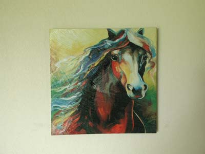 Equus Canvas