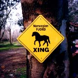 Equine Crossing Signs